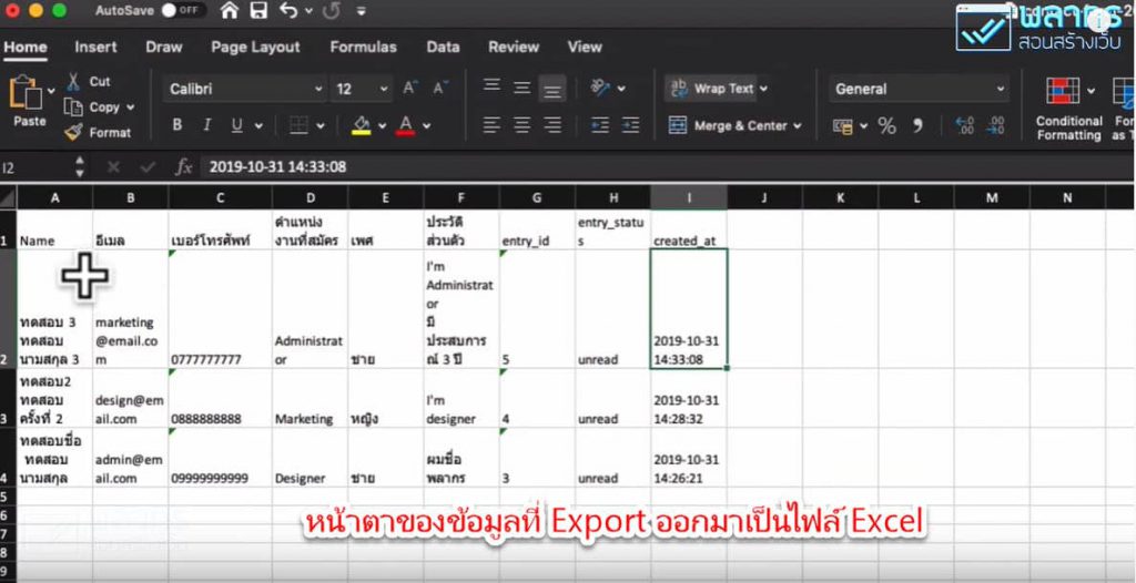 หน้าตาของ Excel ที่ได้ Export ออกมา